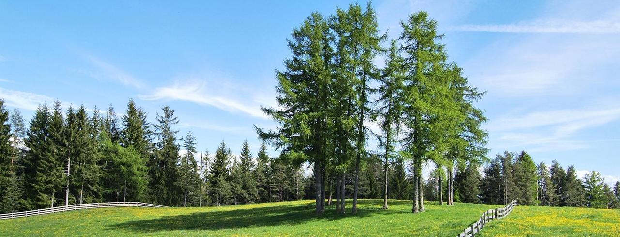 Camping Chalet Salten San Genesio Atesino Eksteriør bilde